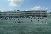 バレーボール大会 バレーボール大会